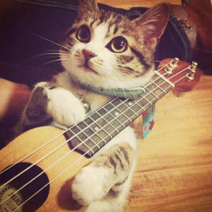 小泬BBBBBB免费看
