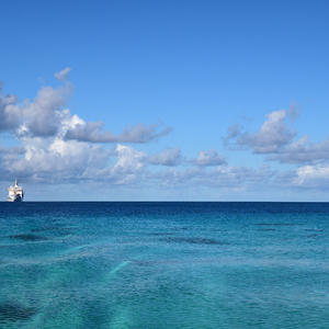 小泬BBBBBB免费看
